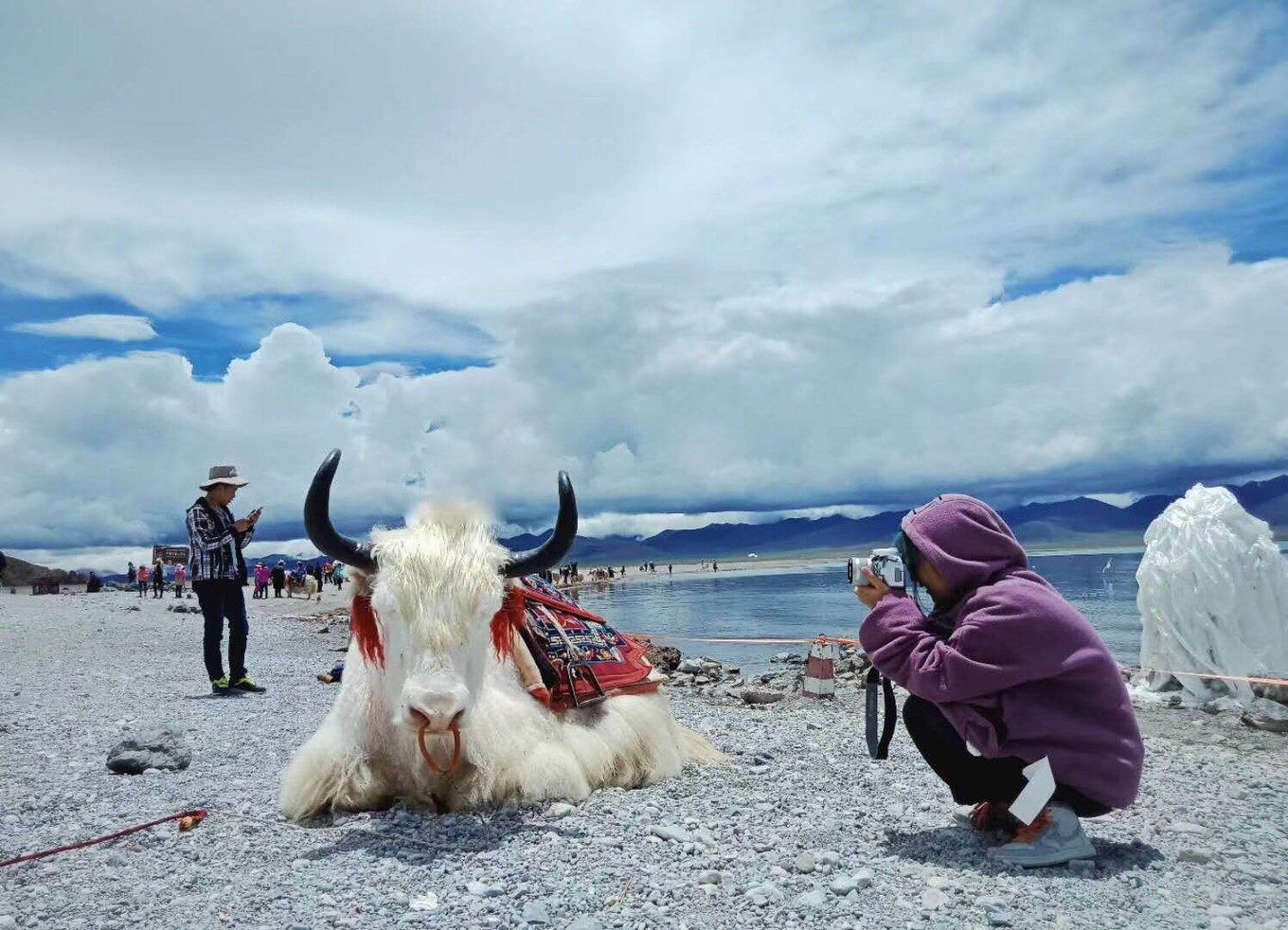 拉萨旅游需要多少钱