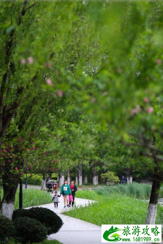 4月7日，游客在台州临海的灵湖景区观赏春色。新华社记者 徐昱 摄