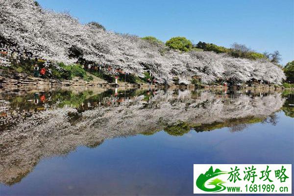 湖南省森林植物园春天有哪些花