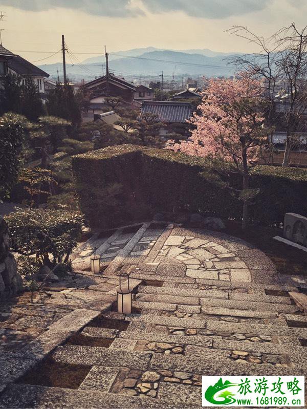 日本赏樱花最佳地点