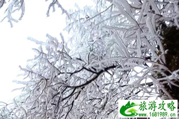 重庆小众看雪的地方 超美风景地推荐