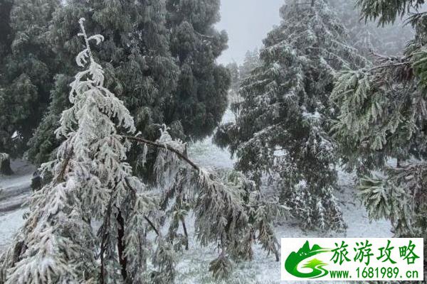 重庆有雪的景区 玩雪的地方有哪些