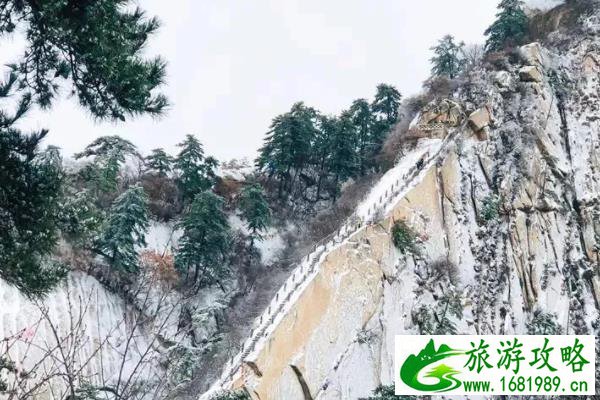 华山冬季赏雪滑雪游玩攻略