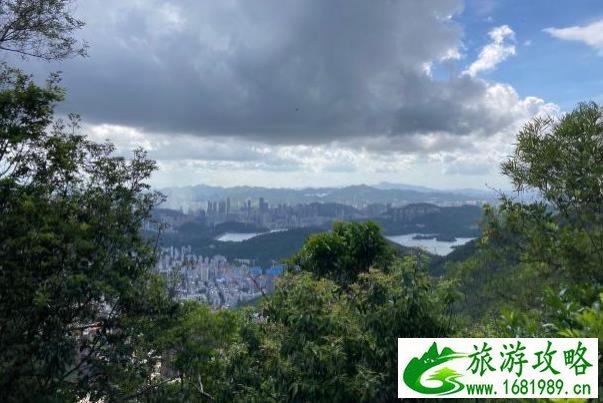 广东十大最美森林旅游目的地 梧桐山游玩路线推荐