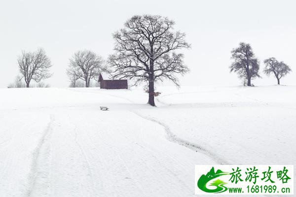 2021成都周边看雪景一日游去哪好 这些小众地方不远还不要门票