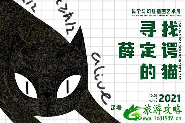 深圳寻找薛定谔的猫插画展怎么样附游玩攻略