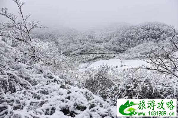 重庆雪天适合看雪的地方