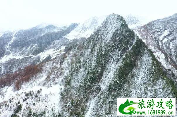 重庆雪天适合看雪的地方