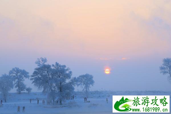 吉林雾凇岛旅游介绍 这个地方还是非常值得去的