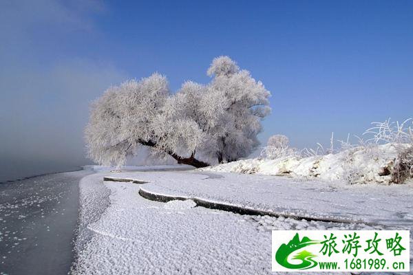 吉林雾凇岛旅游介绍 这个地方还是非常值得去的