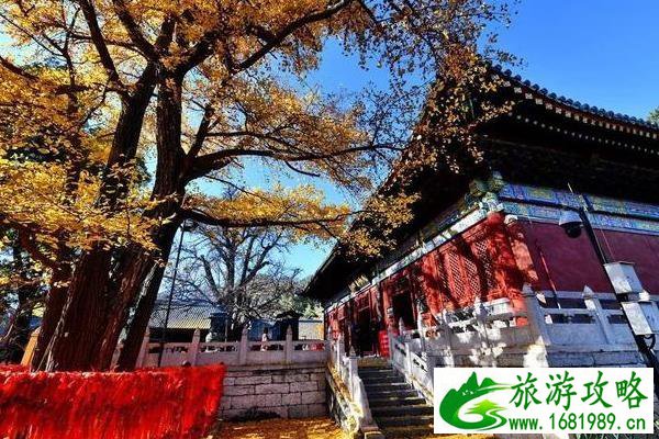 2020北京春节各大寺庙祈福求什么最灵