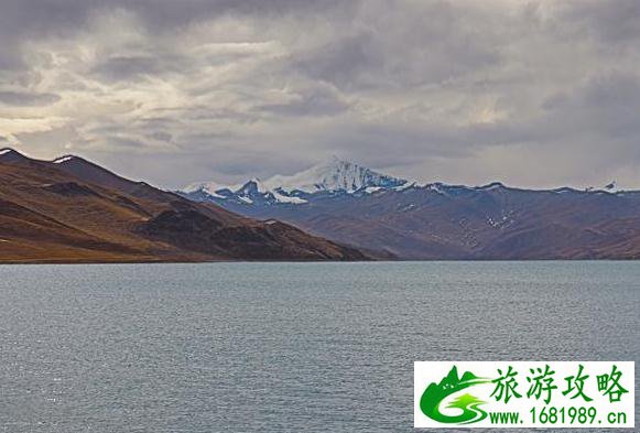 羊卓雍措一日游 羊卓雍措风景图