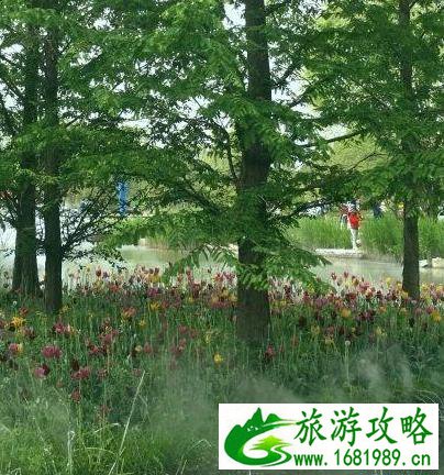 北京国际鲜花港游玩攻略 鲜花港游记