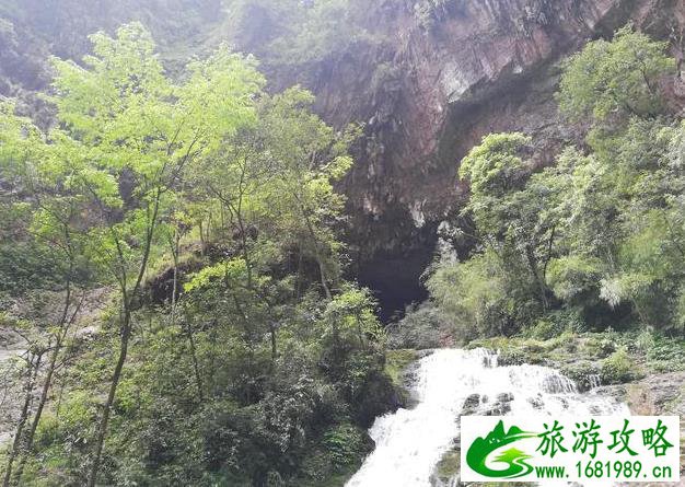 重庆黑山谷旅游攻略