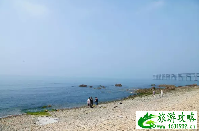 大连海水浴场哪个好-景点推荐 大连适合几月份去旅行