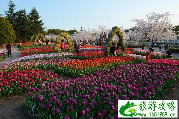 11月-12月上海植物园赏花攻略 11月-12月上海植物园赏花攻略