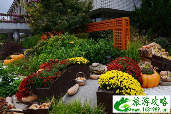 11月-12月上海植物园赏花攻略 11月-12月上海植物园赏花攻略
