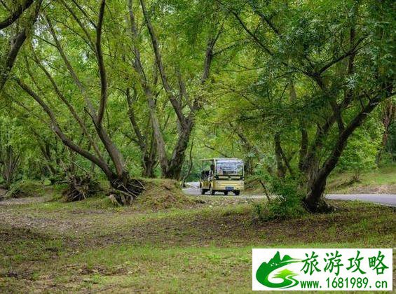 滁州八岭湖度假区观后感