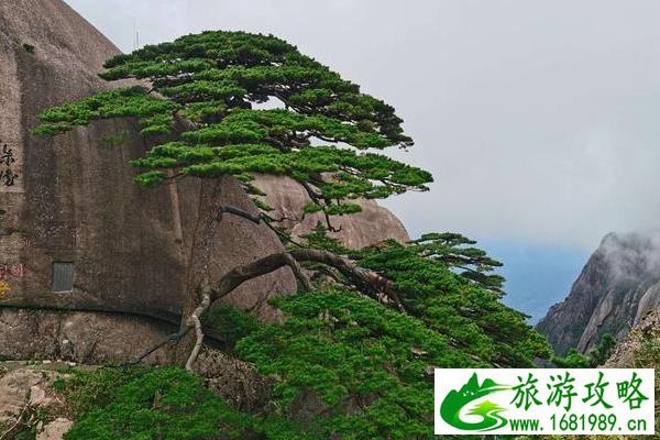 黄山一日游最佳路线及时间