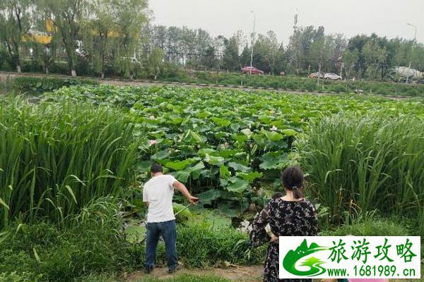 北京沙河水库钓鱼指南