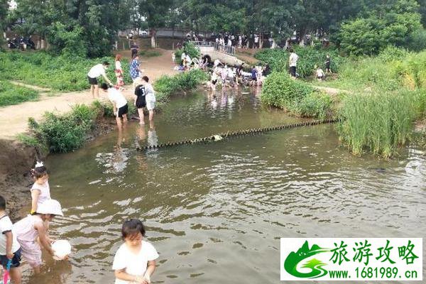 北京沙河水库钓鱼指南