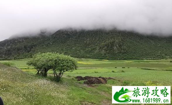 吉隆镇旅游攻略