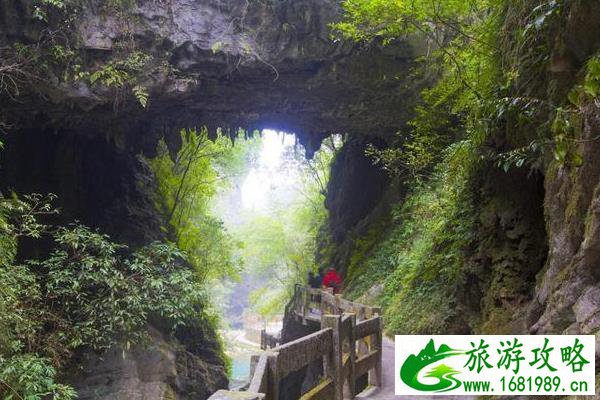 重庆天坑地缝一日游