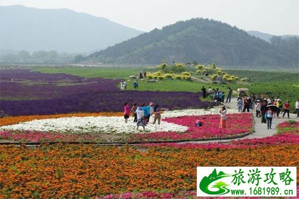 七孔桥花海介绍 什么时候去游玩最好