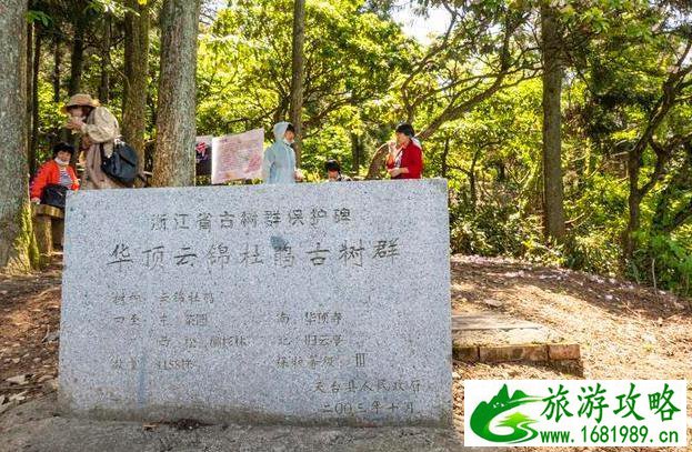 天台山大瀑布游记 天台山大瀑布旅游攻略