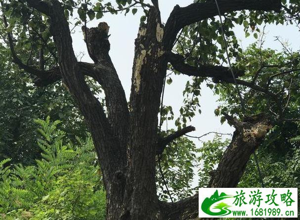 北京定都峰旅游攻略 北京门头沟定都峰自驾游