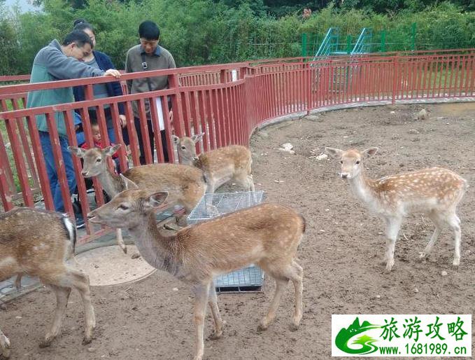 秦岭野生动物园攻略 秦岭野生动物园怎么样