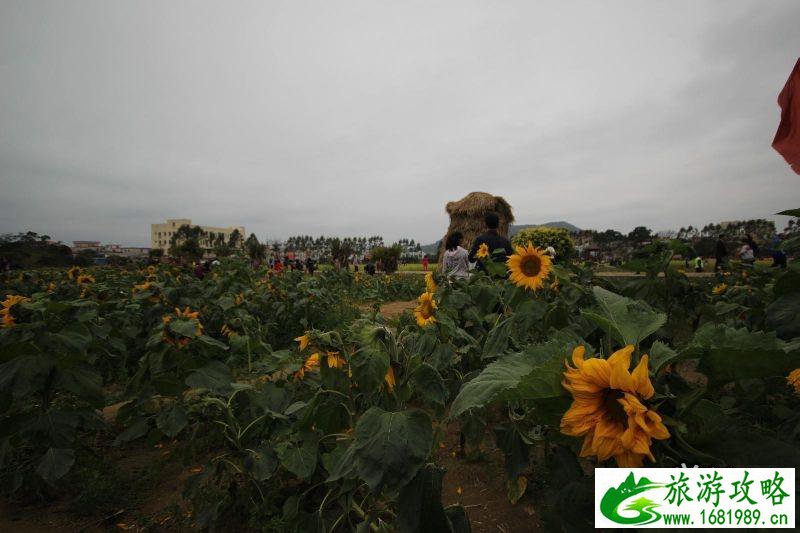 2022年春节期间深圳大鹏区有哪些好玩的地方推荐