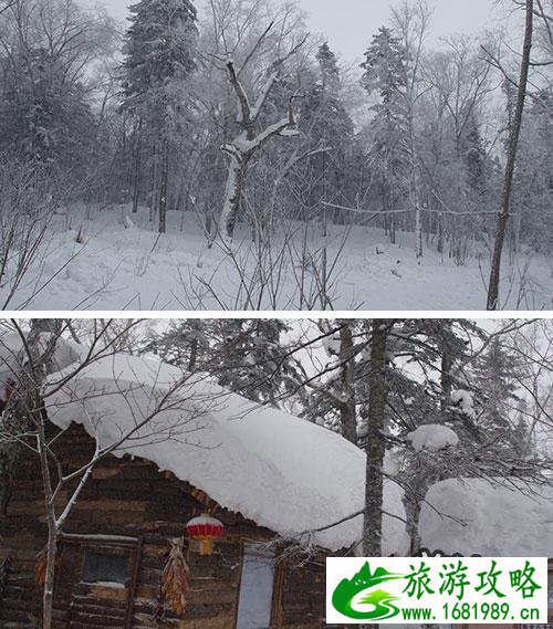 2022年雪乡旅游攻略+注意事项