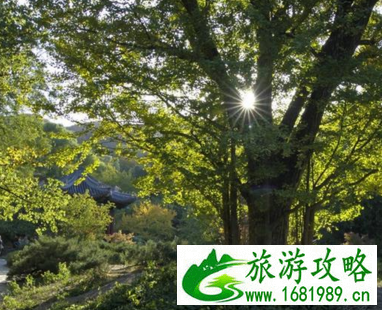 香山公园什么时候去最好  香山公园门票是多少