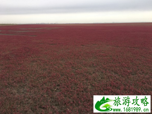 沈阳有什么好玩的地方 沈阳旅游攻略