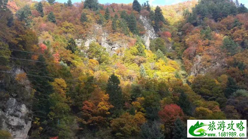 阿坝黑水县旅游攻略