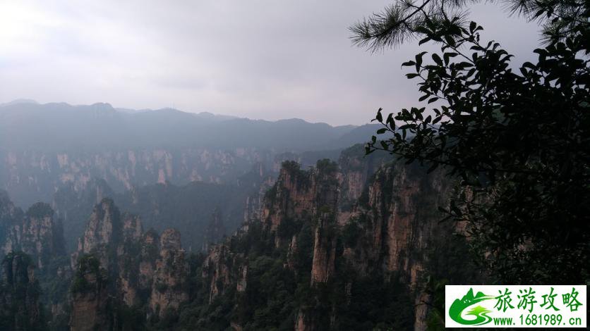 张家界天子山停车场在哪 停车位多吗