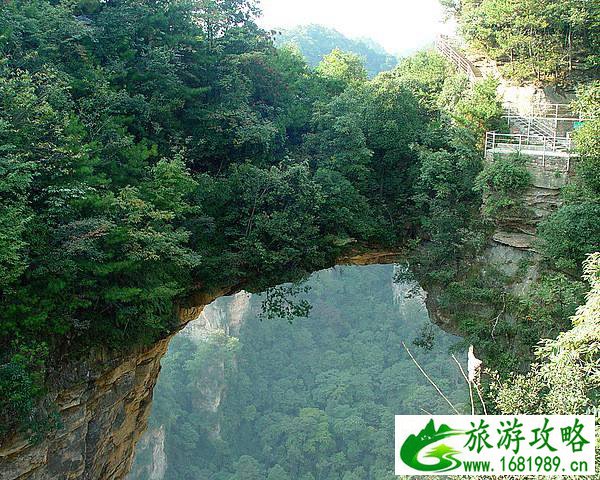 张家界天子山停车场在哪 停车位多吗