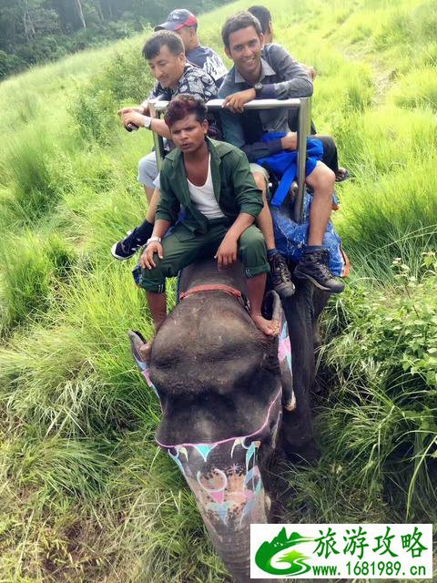 尼泊尔旅游安全吗 尼泊尔最近旅游安全吗