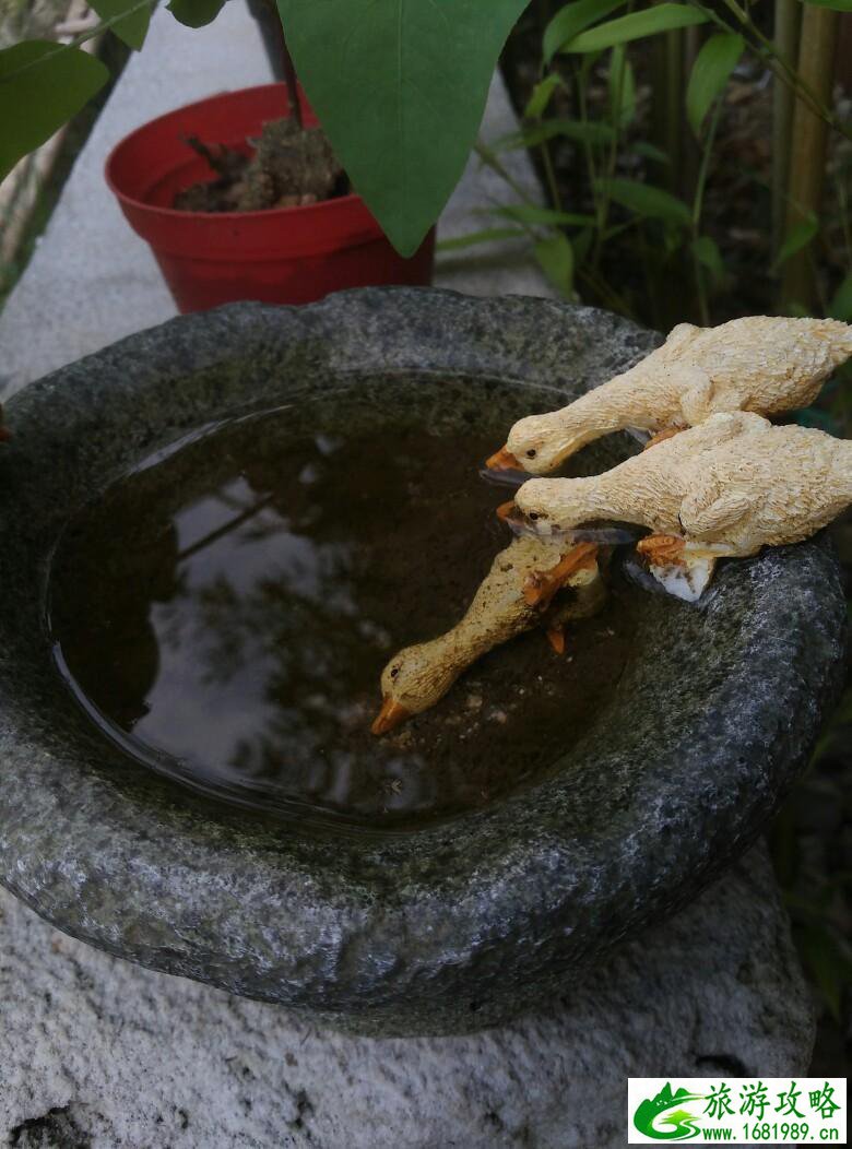 天堂寨风景区旅游攻略+门票价格