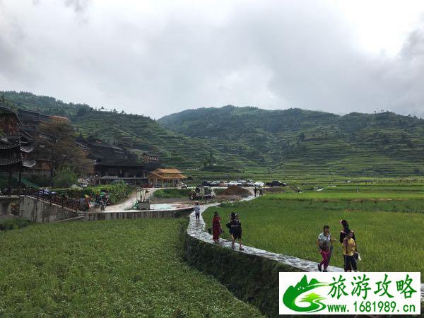 武汉-常德-镇远-千户苗寨-贵阳-黄果树瀑布-凤凰古镇旅游攻略