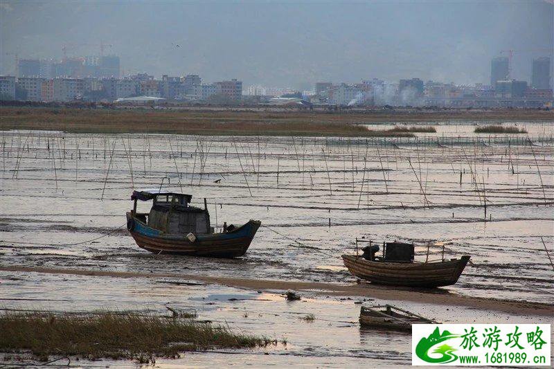 霞浦有什么好玩的地方 霞浦旅游攻略