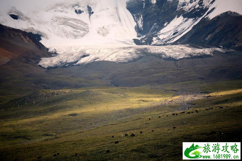 阿尼玛卿雪山景区攻略