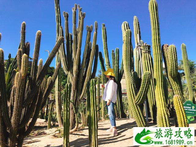 厦门植物园好玩吗 厦门植物园学生门票多少钱