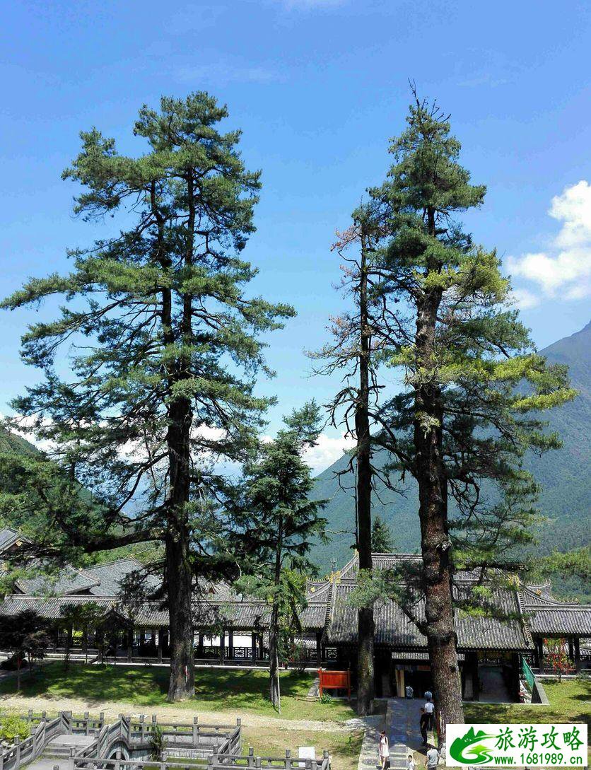 冕宁灵山寺在哪里 冕宁灵山寺好玩吗 冕宁灵山寺门票多少钱