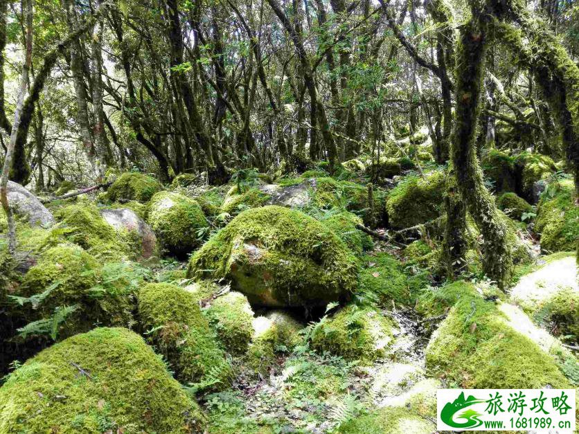 冕宁灵山寺在哪里 冕宁灵山寺好玩吗 冕宁灵山寺门票多少钱