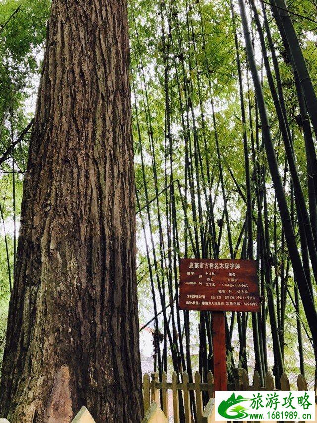 恩施有哪些旅游景点 恩施有什么好玩的