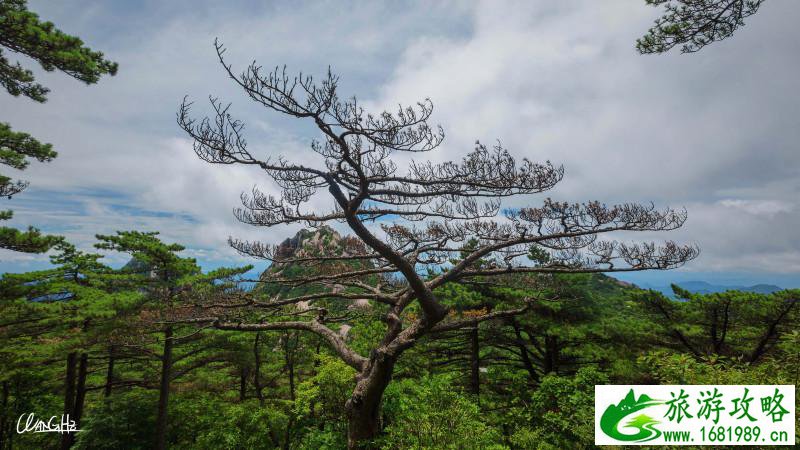 黄山有哪些著名景点 黄山旅游攻略2017