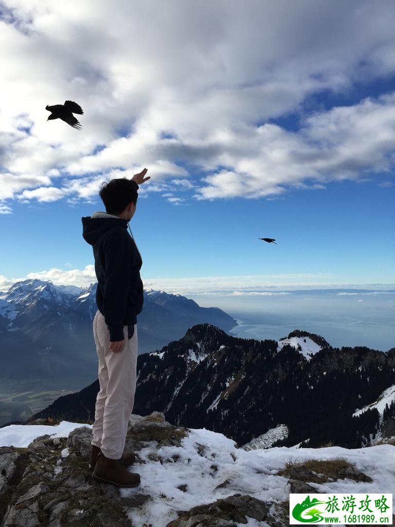 瑞士有哪些旅游景点 	瑞士都有哪些城市