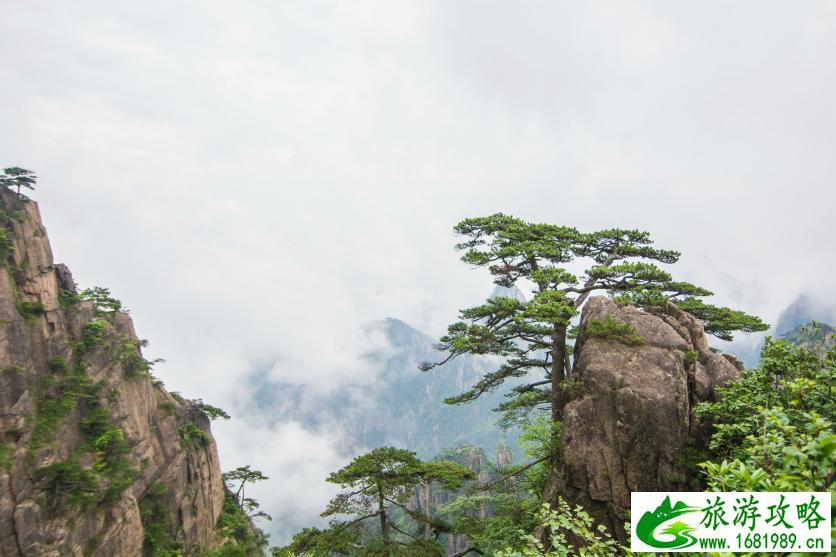 黄山有哪些旅游景点 黄山有什么好玩的